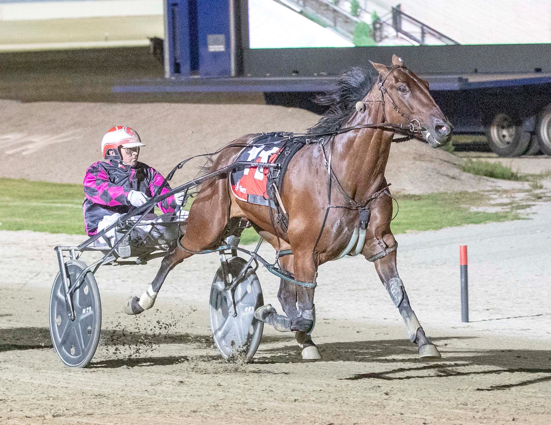 Trots Centre Trial Blackbookers floods tonight's Shepparton meeting Harness Racing Victoria